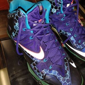 Nike Purple and Teal Men's Shoes